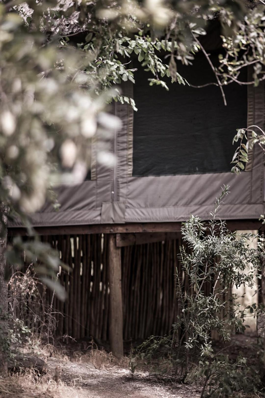 Muweti Bush Lodge Grietjie Game Reserve Exterior photo